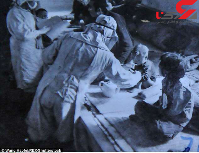 اردوگاه ژاپن