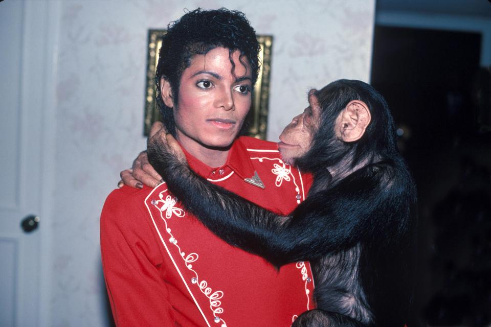 شامپانزه مایکل جکسون