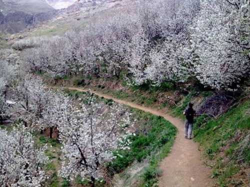 مسیر دسترسی به روستای سنگان