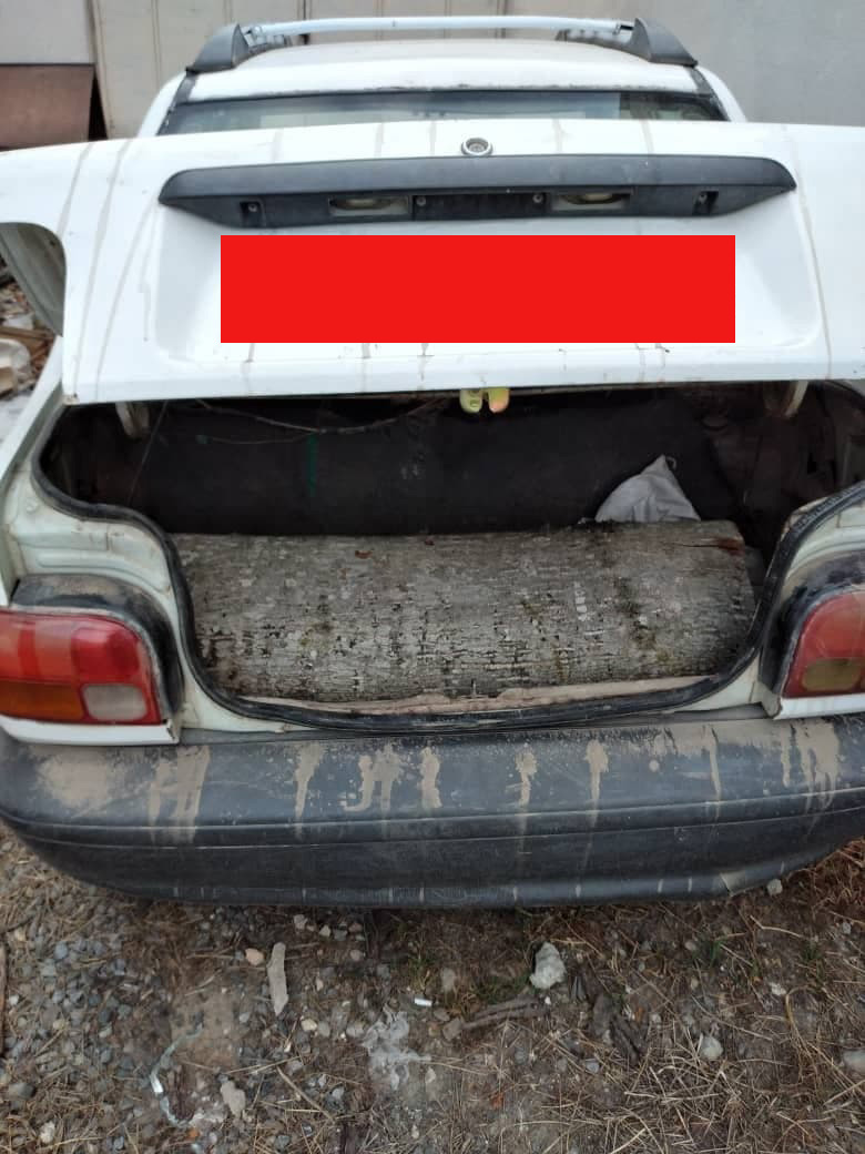 دستگیری متخلفین قطع درختان جنگل در باغ گلبن