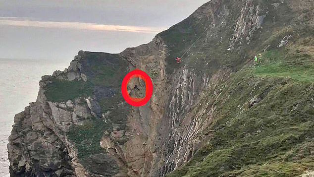 نجات مردی که در ارتفاع ۲۱ متری از کوه گیر افتاده بود