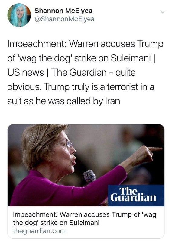 الیزابت وارن، نماینده معروف کنگره آمریکا، انتصاب لقب تروریست کت شلواری به ترامپ از سوی ایران را صحیح خواند