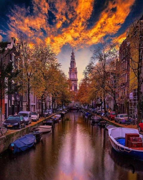 آمستردام 