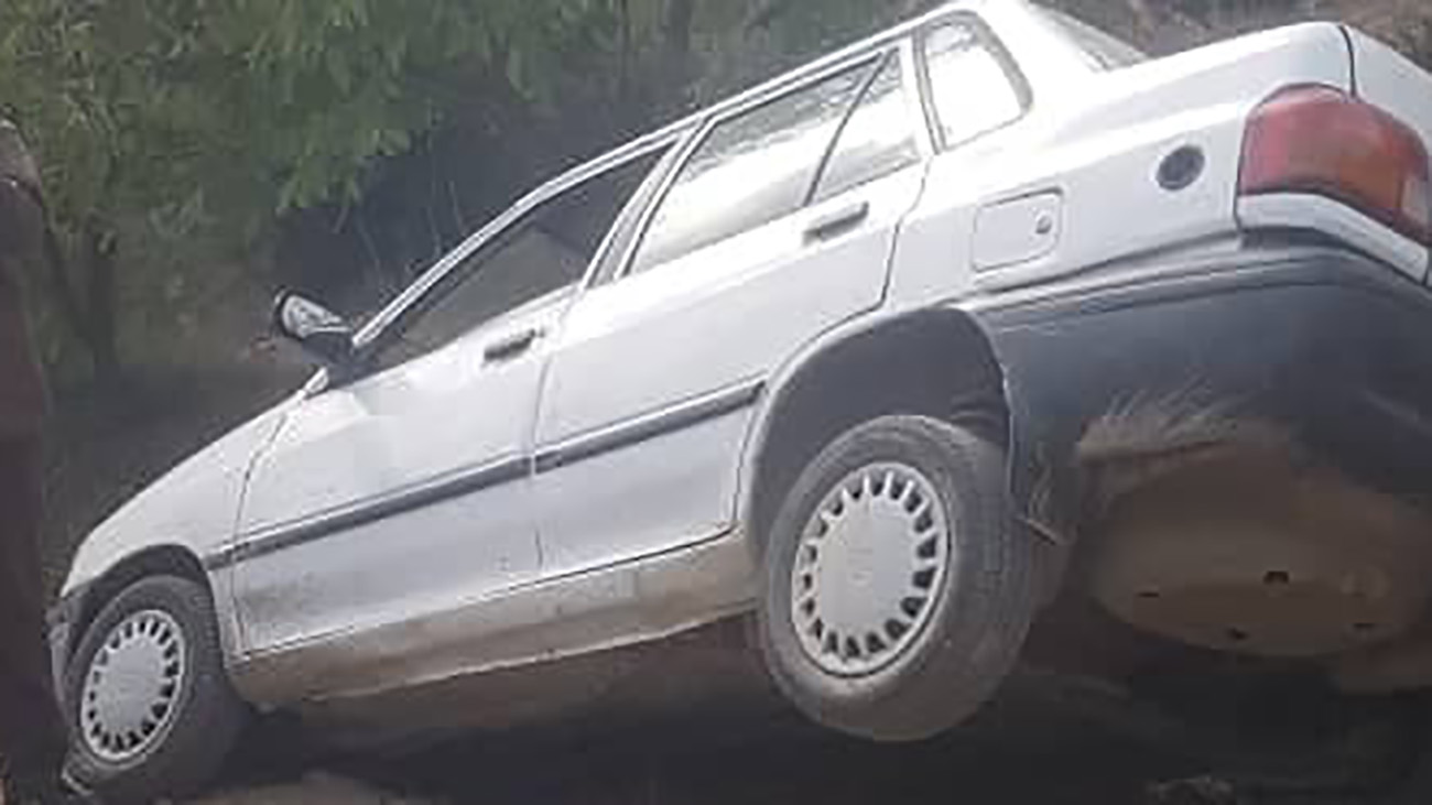 دستگیری متخلفین قطع درختان جنگل در باغ گلبن