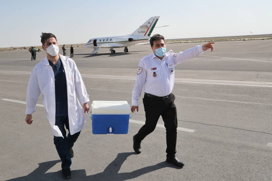 اهدای عضو