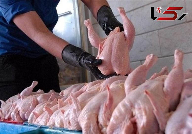 تصویب قیمت گوشت مرغ در آینده نزدیک/ مرغ گران نشده است