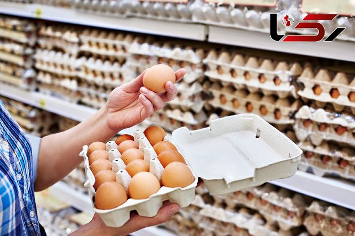 دلیل افزایش قیمت تخممرغ چیست؟