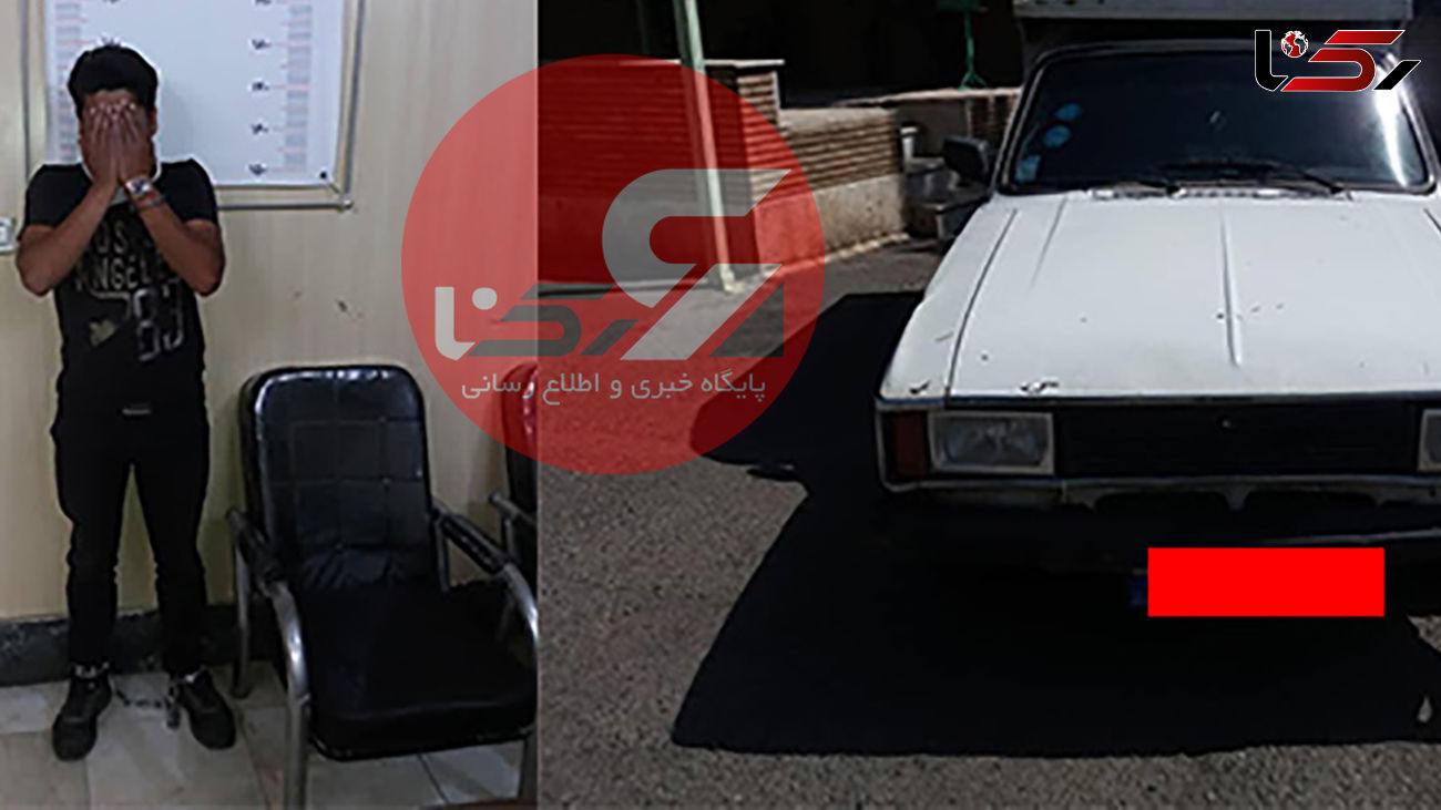 فیلم لحظه سرقت دزد حرفه ای در قیام دشت + عکس متهم بعد از بازداشت