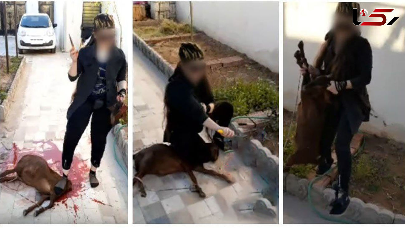 پلیس پیشگیری در تعقیب زنان سلاخ بی رحم / 3 فیلم تکاندهنده از زنان 