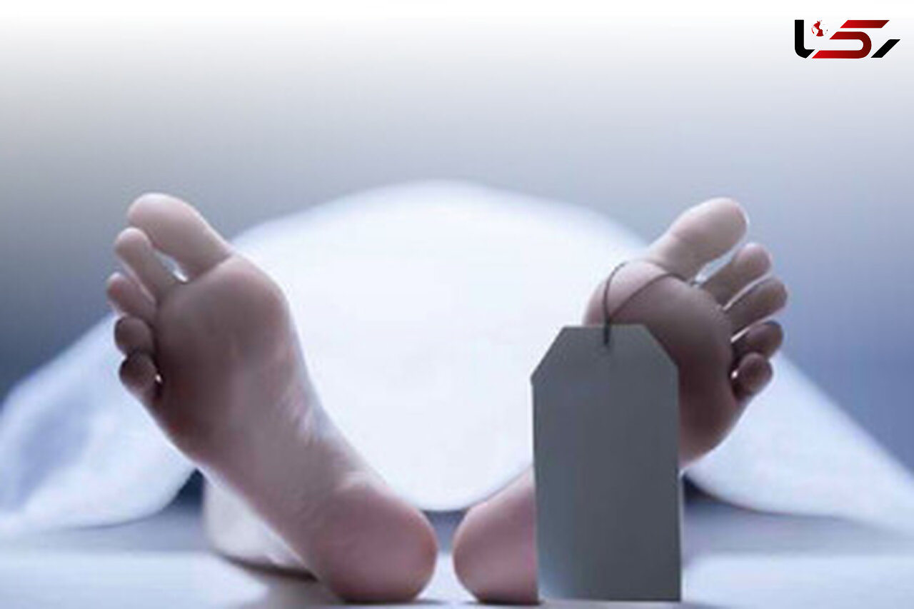 کبوتربازی جان ۳ شهروند ایرانشهری را گرفت