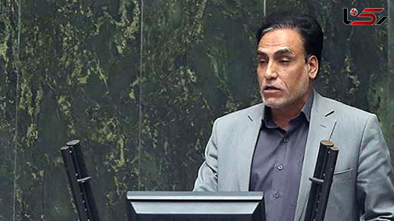نهاده‌های دامی به جای مرغداری سر از بازار و دلالی در می‌آورد