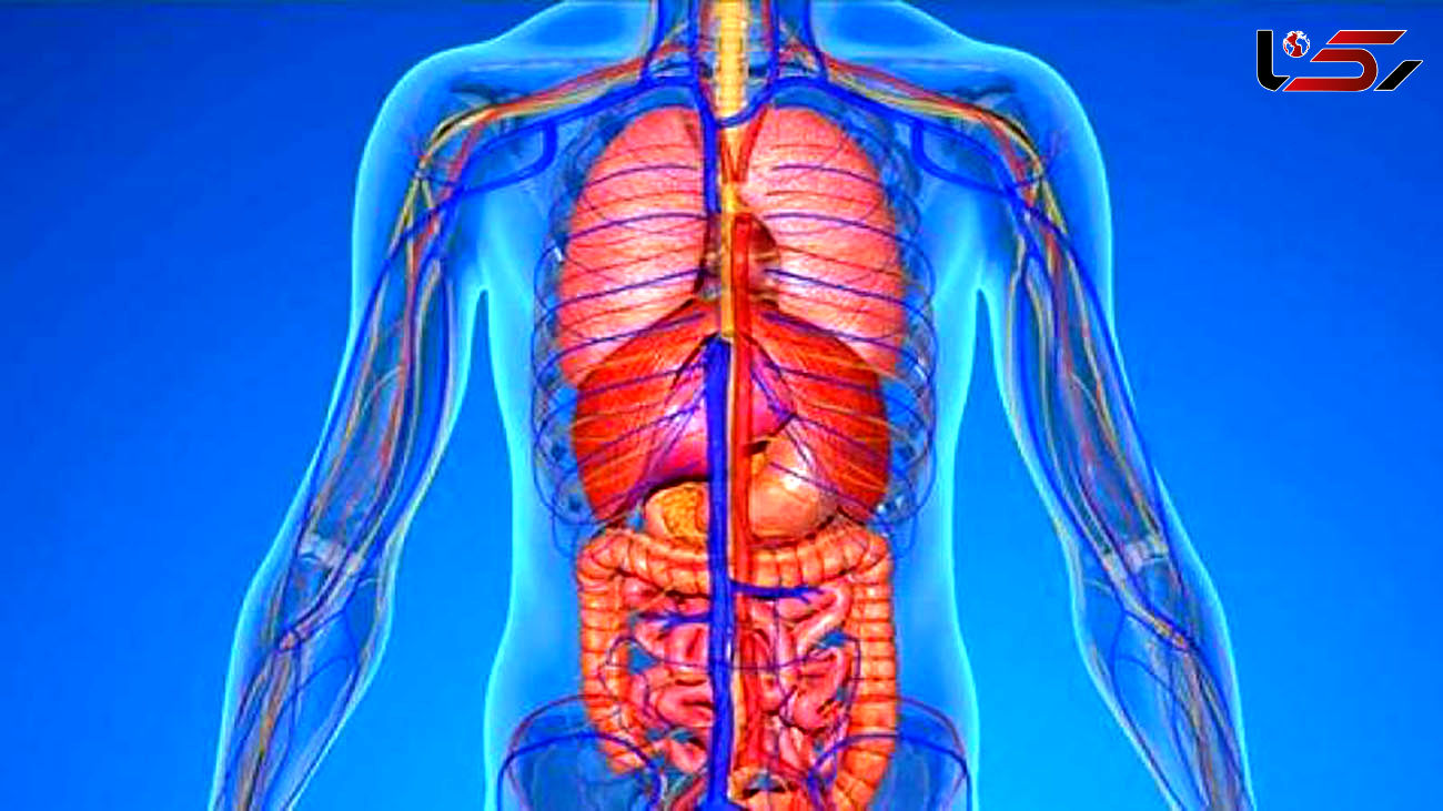 چطور لخته خون را از درون رگ ها بیرون می کشند؟ + فیلم 