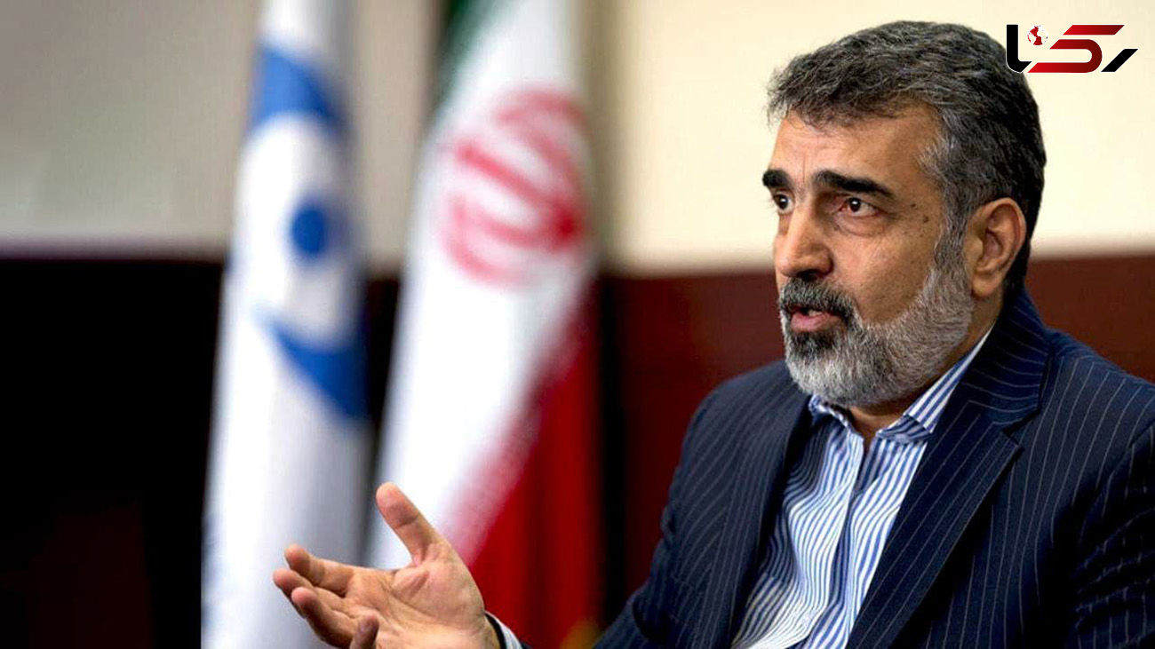 سازمان انرژی اتمی صد در صد قانون لغو تحریم‌ها را به لحاظ فنی اجرا می‌کند