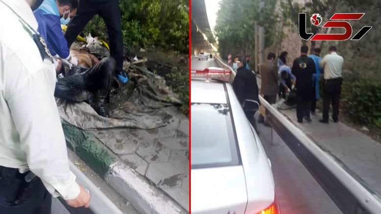 عکس جسد کرم خورده یک مرد در اتوبان صدر تهران / عصر دیروز پیدا شد