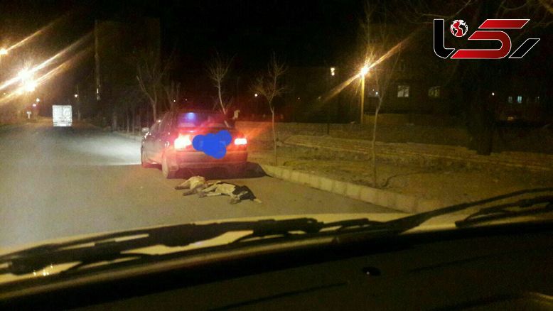 جزییات سگ آزاری کثیف در سرعین+ عکس دلخراش